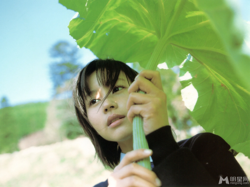 堀北真希小清新写真2 堀北真希图片