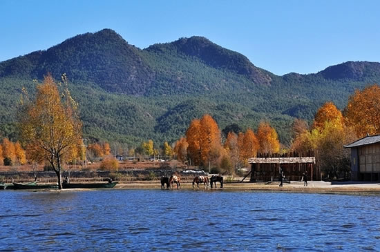 美丽的丽江风景