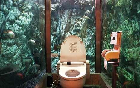 全球风景最美的八间厕所