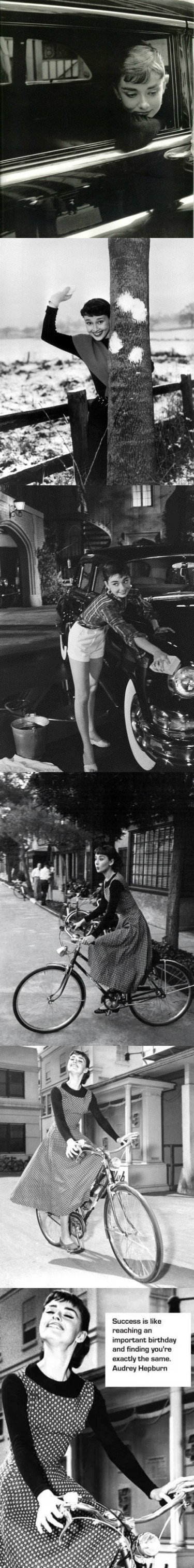 奥黛丽赫本最全照片图片 最美奥黛丽赫本黑白写真