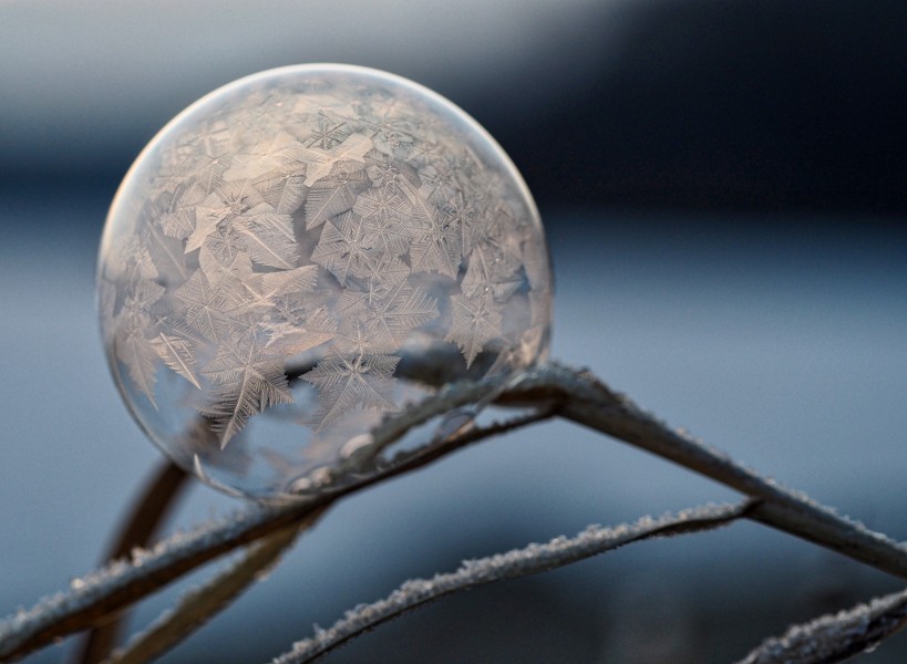 冰冻气泡高清图片(9张)