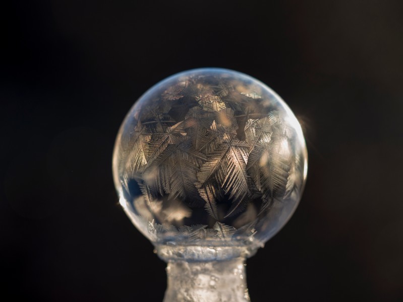 冰冻气泡高清图片(9张)