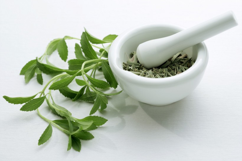 草药图片(27张)