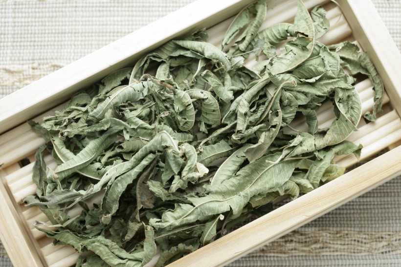 草药图片(27张)