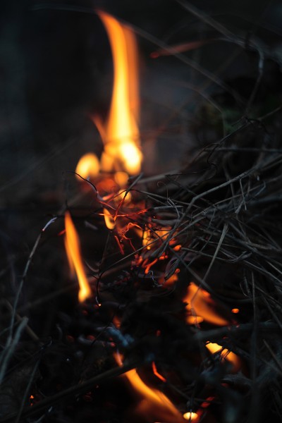 用木材点然的火焰图片(11张)