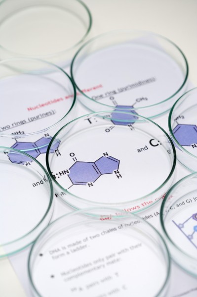 生物实验图片(21张)