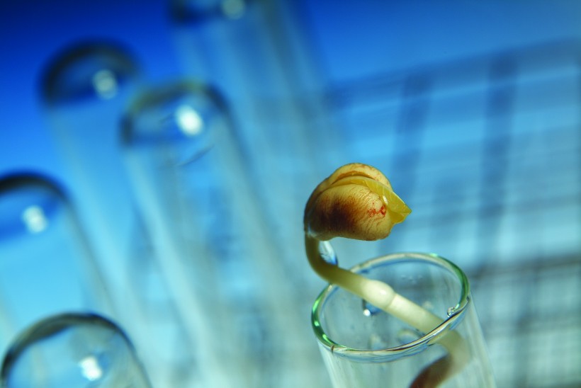 生物科技研究图片(100张)