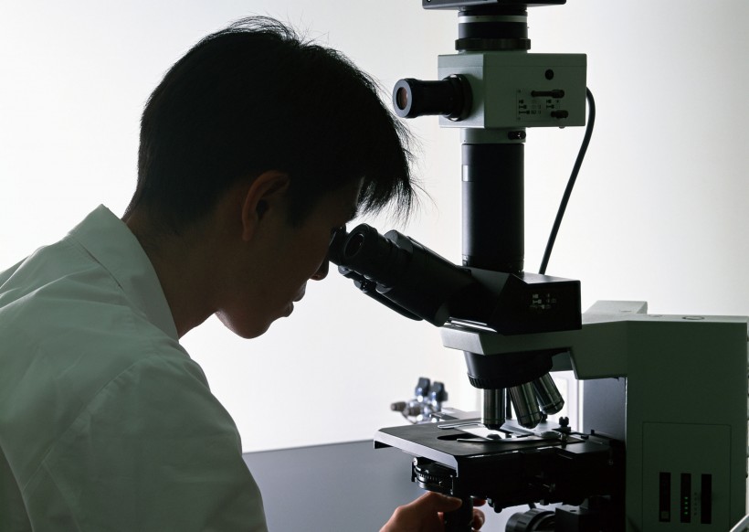神奇的显微镜图片(15张)