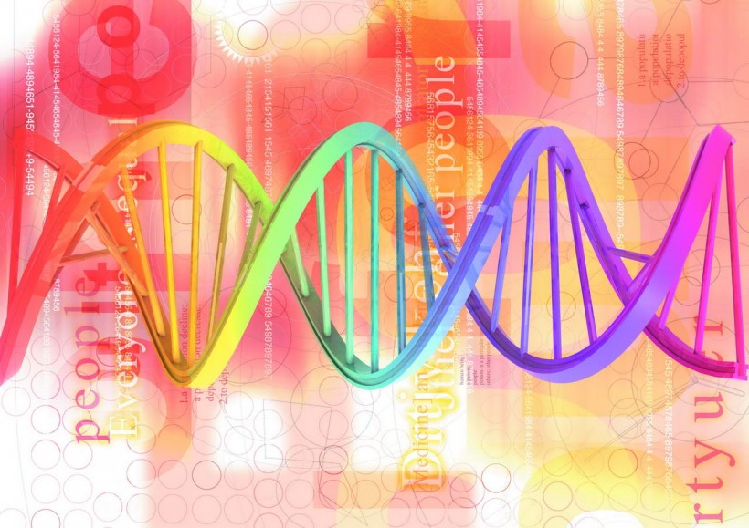 医学科研图片(24张)