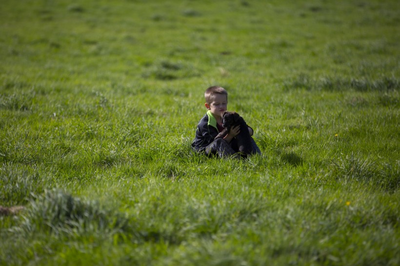 在草地上的孤独的小男孩图片(10张)