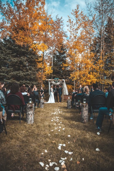 神圣的婚礼图片(13张)