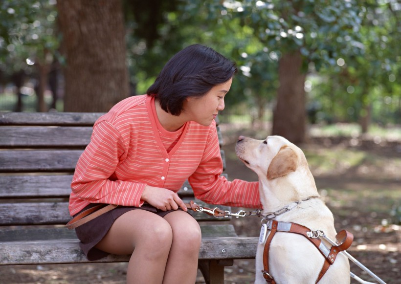 盲人和导盲犬日常生活图片(14张)