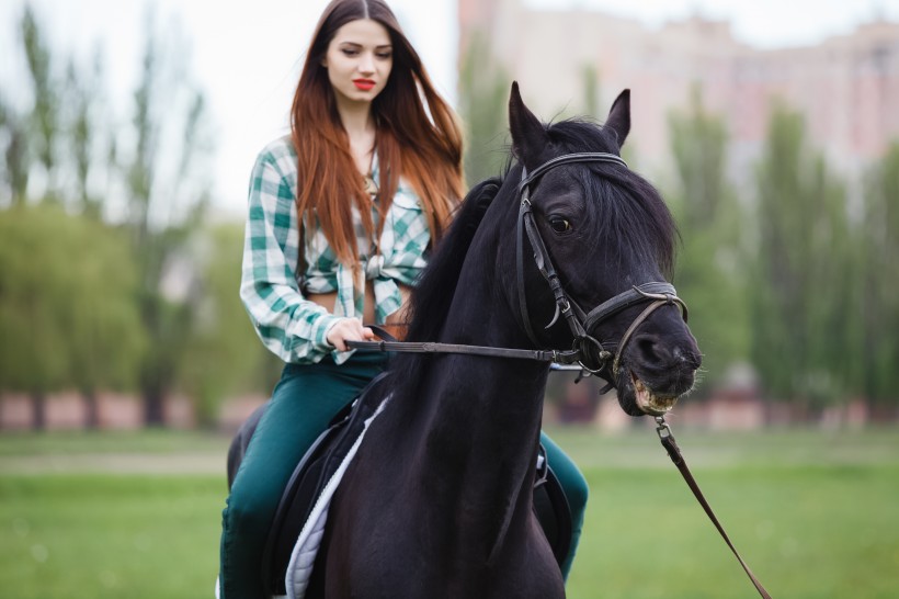 美女训马师图片(15张)