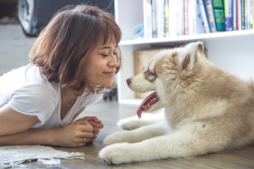 女孩和狗合影图片(15张)