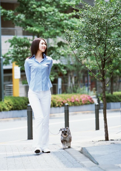 女性带宠物逛街图片(27张)