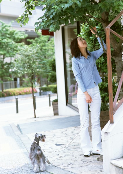 女性带宠物逛街图片(27张)