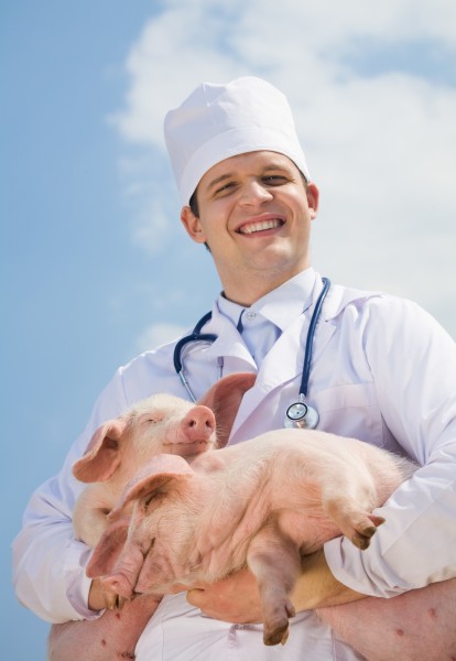 抱着猪的兽医图片(11张)