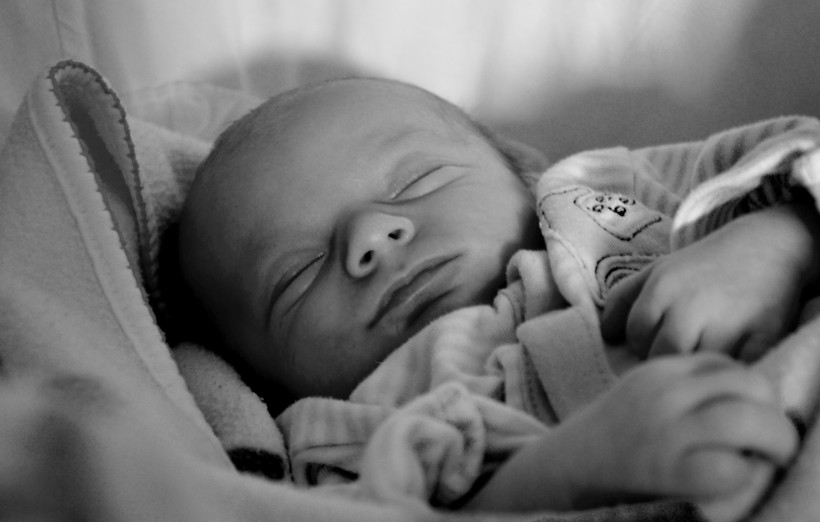 睡着的婴儿图片(8张)