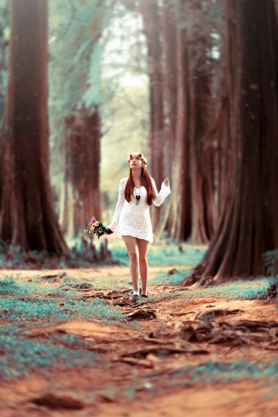 树林里的美女图片(10张)