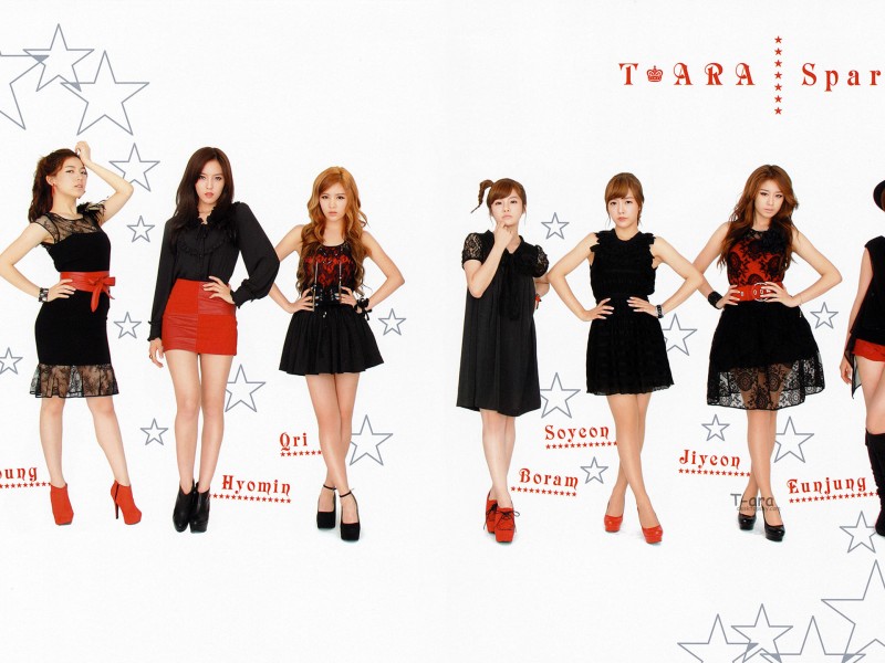 韩国美女组合t-ara图片(13张)