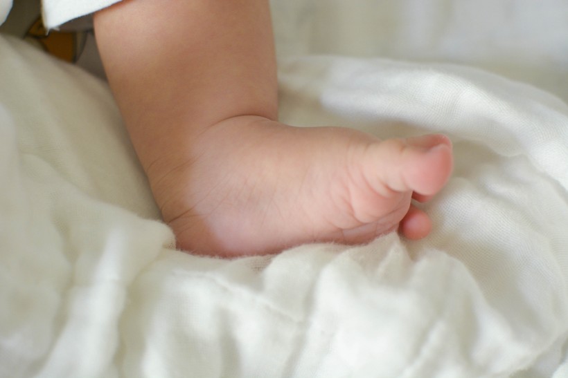 胖乎乎的婴儿小脚丫图片(16张)