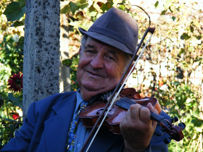 拉小提琴的人物图片(16张)
