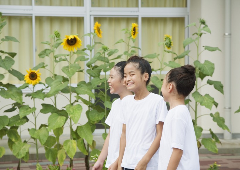 小学生实验课图片(22张)