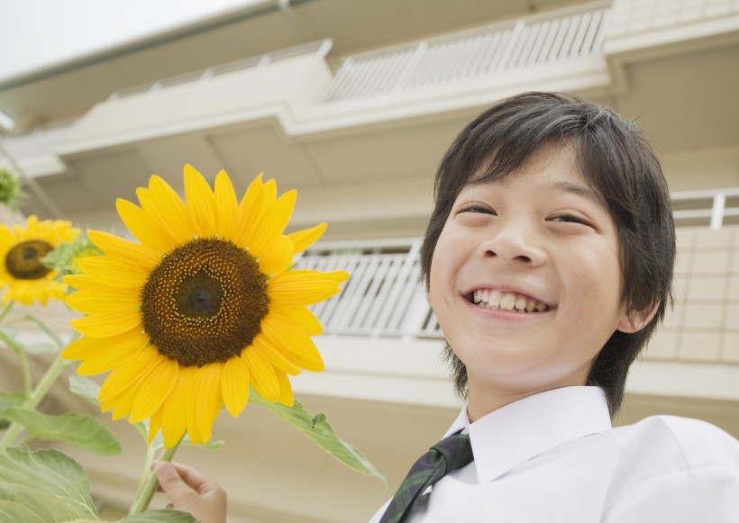 小学生实验课图片(22张)