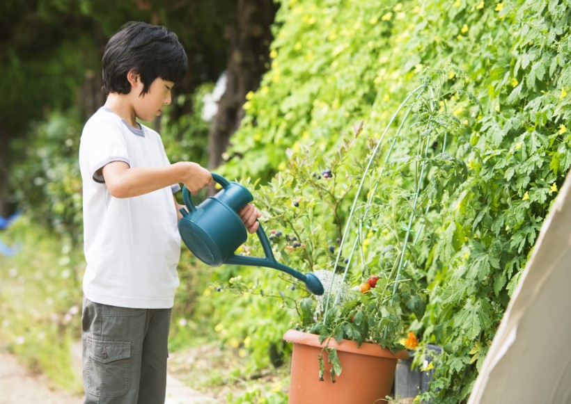 小学生实验课图片(22张)