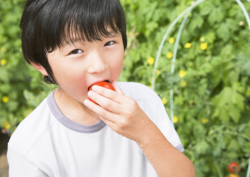 小学生实验课图片(22张)