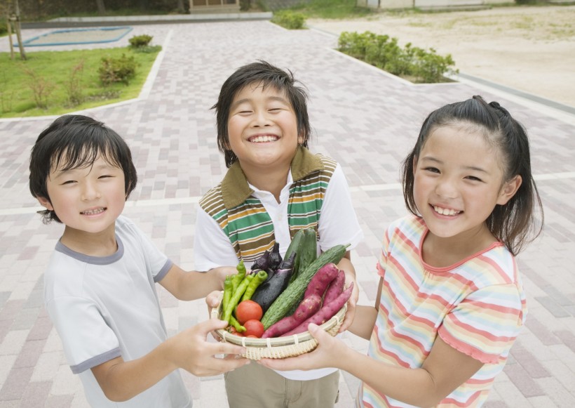 小学生实验课图片(22张)