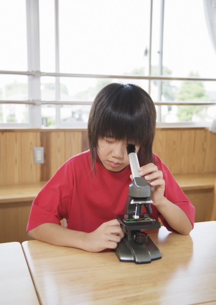 小学生实验课图片(22张)