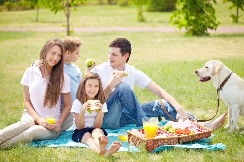 在户外野餐的一家人图片(10张)