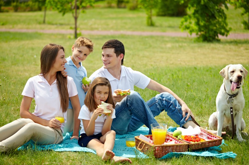 在户外野餐的一家人图片(10张)