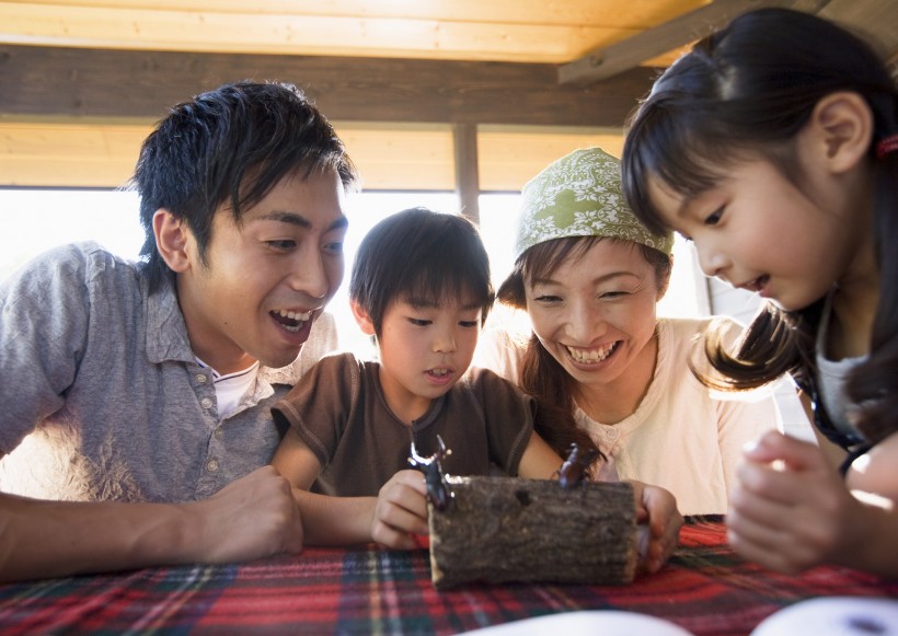 全家旅游的图片(21张)