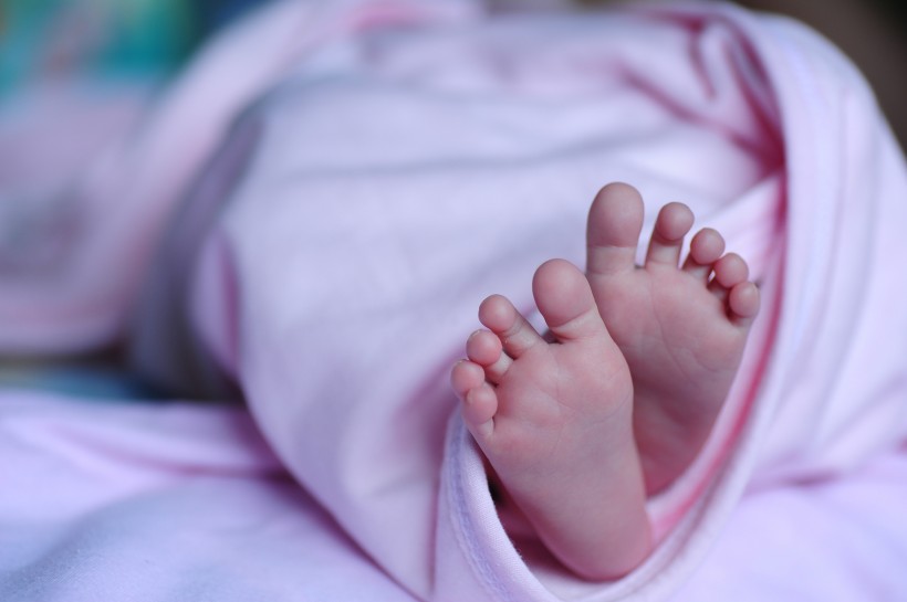 婴儿的脚丫图片(13张)