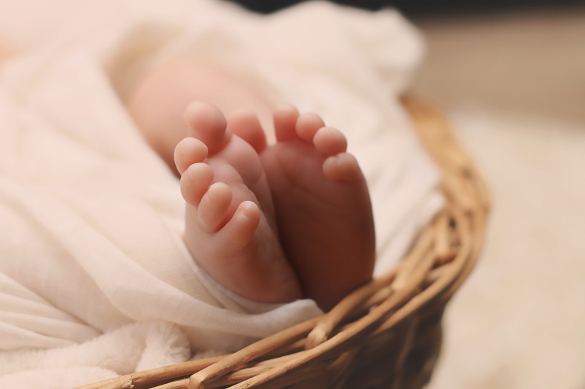 婴儿的脚丫图片(13张)