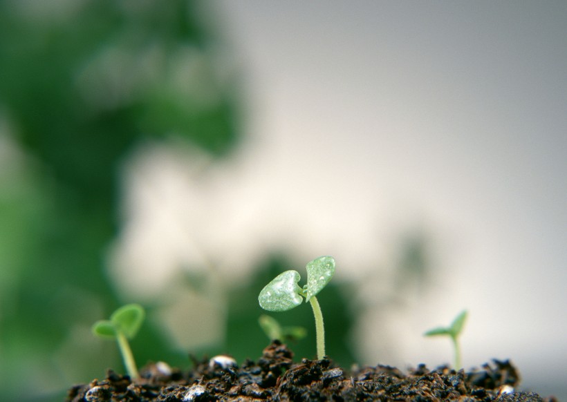 爱护地球爱护生命图片(13张)