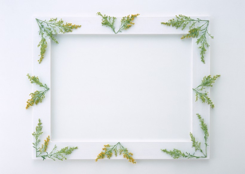 白色画框和绿树叶图片(6张)