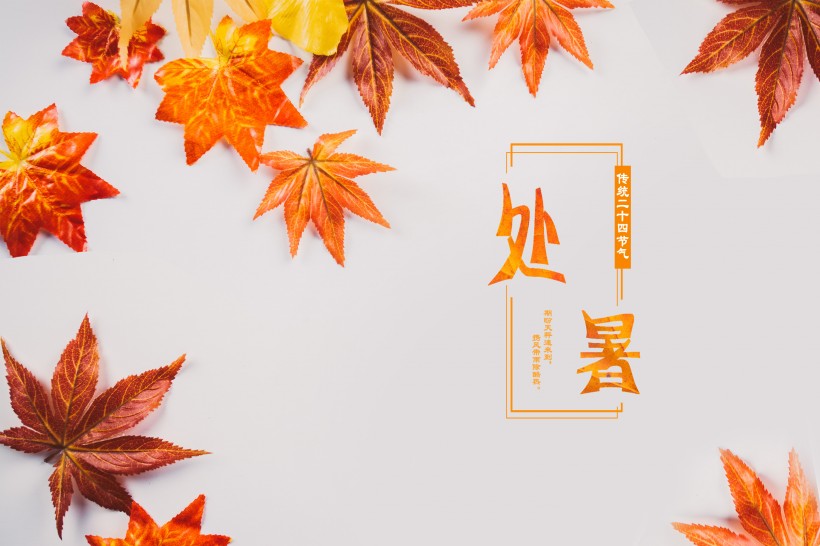 二十四节气之处暑设计素材图片(26张)