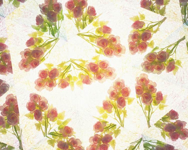 对称的植物花卉背景图片(19张)