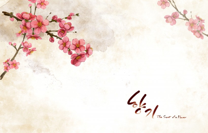 温馨粉色韩国花朵背景图片(17张)