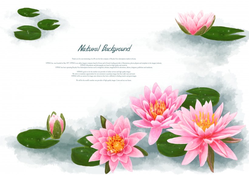 温馨粉色韩国花朵背景图片(17张)