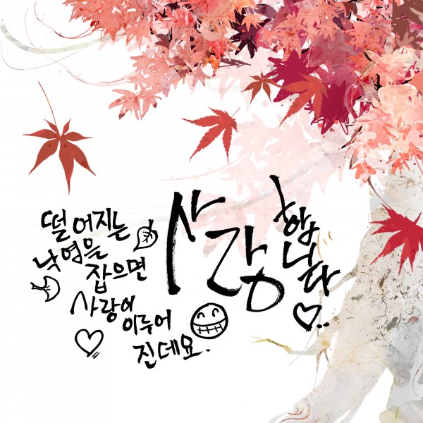 热情红色韩国花朵背景图片(10张)