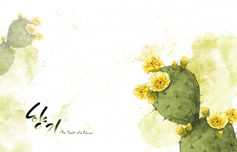 明亮黄色韩国花朵背景图片(19张)