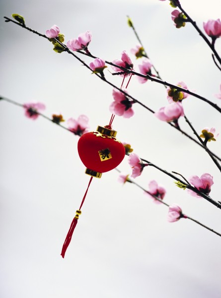 节日气息背景素材图片(128张)