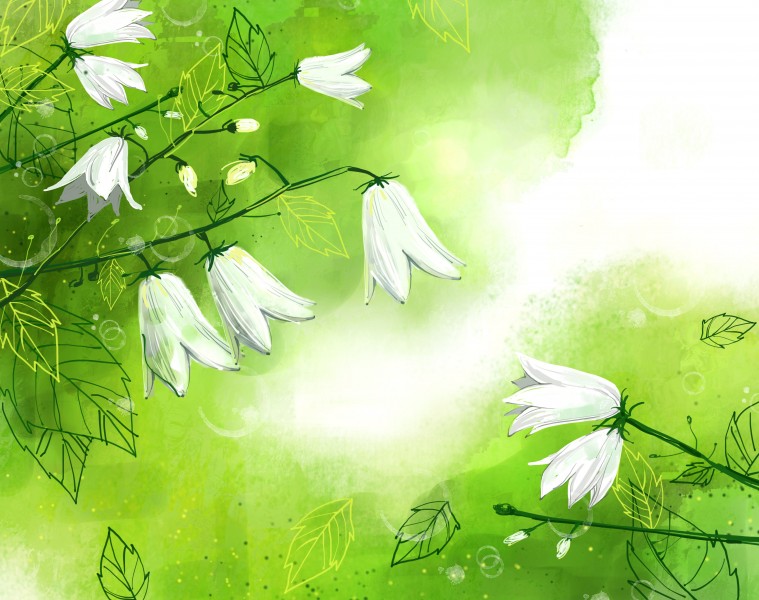 绿色韩国花朵背景图片(6张)