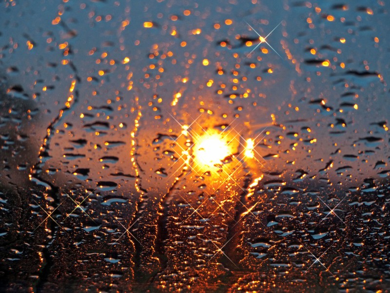 雨滴图片(25张)