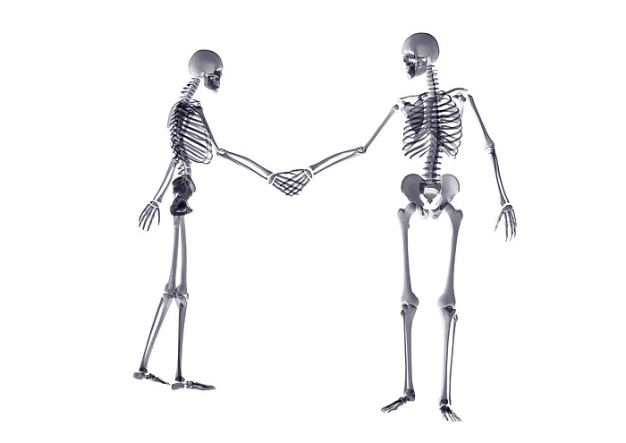 人体骨架运动系列高清图片(45张)