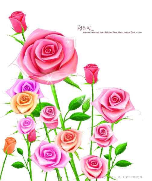 手绘玫瑰素材图片(6张)